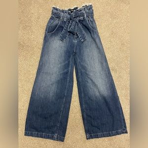 Hudson Wide Leg Jeans